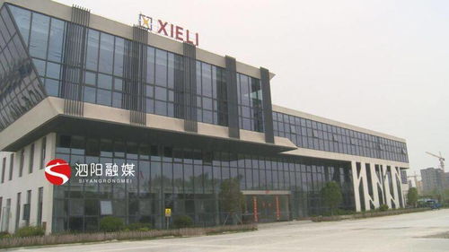江苏泗阳协力轻工机械 科技创新驱动企业高质量发展