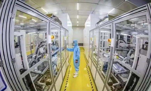 建湖县就地过大年，科技浓情满家园