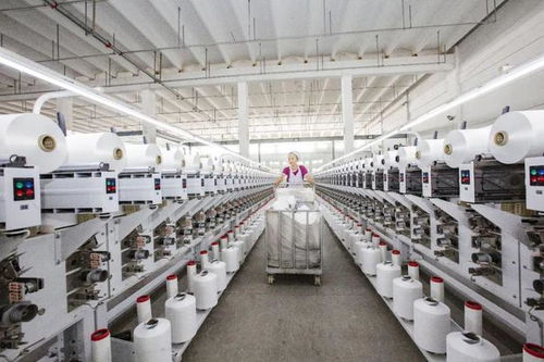 从“织造”“制造”到“智造” 射阳擘画“经纬天下”的江苏科技新蓝图